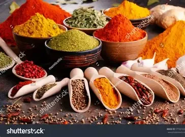 Spices - Shahi Dorbar